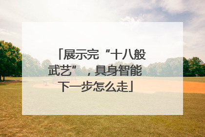 展示完“十八般武艺”，具身智能下一步怎么走