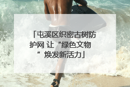 屯溪区织密古树防护网 让“绿色文物”焕发新活力