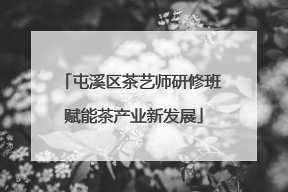 屯溪区茶艺师研修班赋能茶产业新发展