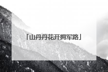 山丹丹花开拥军路