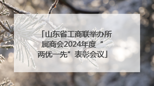 山东省工商联举办所属商会2024年度“两优一先”表彰会议