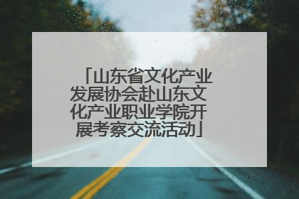 山东省文化产业发展协会赴山东文化产业职业学院开展考察交流活动