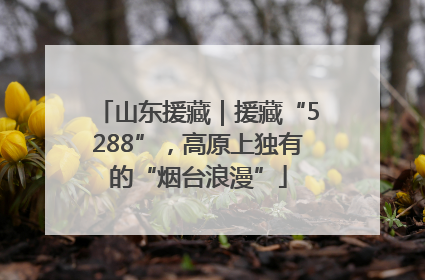 山东援藏｜援藏“5288”，高原上独有的“烟台浪漫”