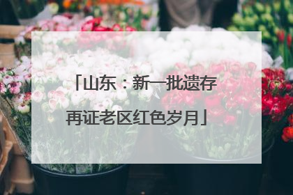 山东：新一批遗存再证老区红色岁月
