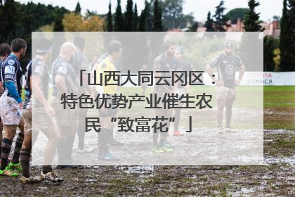 山西大同云冈区：特色优势产业催生农民“致富花”