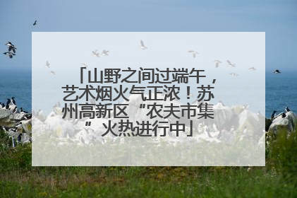 山野之间过端午，艺术烟火气正浓！苏州高新区“农夫市集”火热进行中