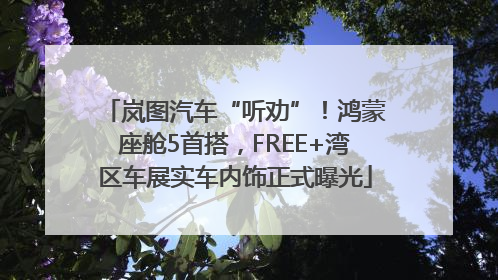 岚图汽车“听劝”！鸿蒙座舱5首搭，FREE+湾区车展实车内饰正式曝光