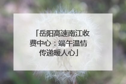 岳阳高速南江收费中心：端午温情传递暖人心