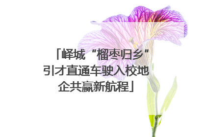 峄城“榴枣归乡”引才直通车驶入校地企共赢新航程