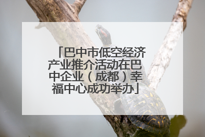 巴中市低空经济产业推介活动在巴中企业（成都）幸福中心成功举办