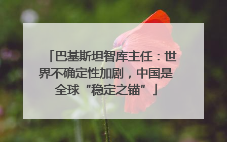 巴基斯坦智库主任：世界不确定性加剧，中国是全球“稳定之锚”