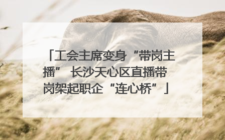 工会主席变身“带岗主播” 长沙天心区直播带岗架起职企“连心桥”