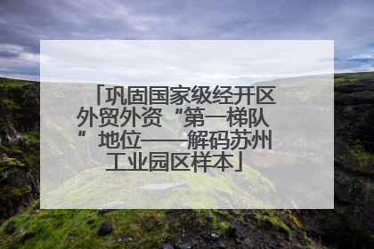 巩固国家级经开区外贸外资“第一梯队”地位——解码苏州工业园区样本
