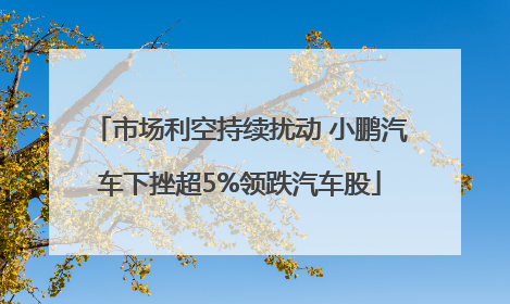 市场利空持续扰动 小鹏汽车下挫超5%领跌汽车股
