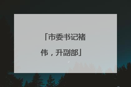 市委书记褚伟，升副部