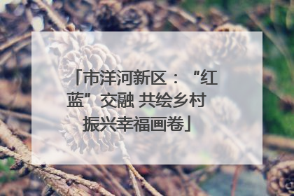 市洋河新区：“红蓝”交融 共绘乡村振兴幸福画卷