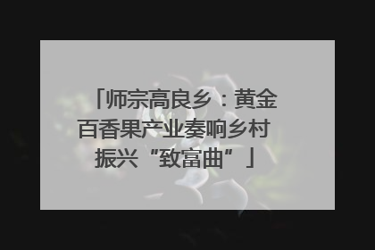 师宗高良乡：黄金百香果产业奏响乡村振兴“致富曲”