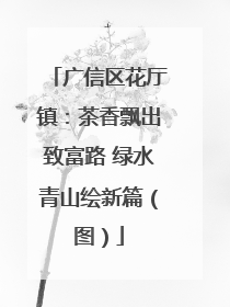 广信区花厅镇：茶香飘出致富路 绿水青山绘新篇（图）