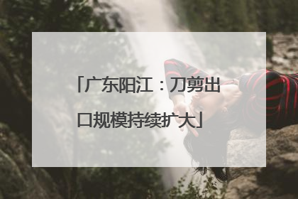 广东阳江：刀剪出口规模持续扩大
