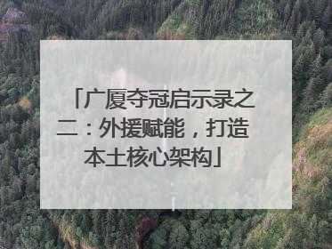 广厦夺冠启示录之二：外援赋能，打造本土核心架构