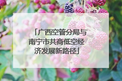 广西空管分局与南宁市共商低空经济发展新路径