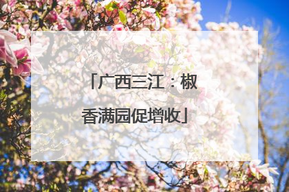 广西三江：椒香满园促增收