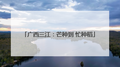 广西三江：芒种到 忙种稻