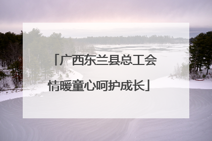 广西东兰县总工会情暖童心呵护成长