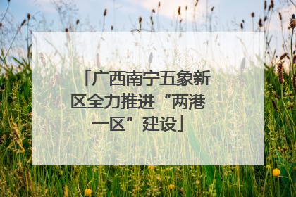 广西南宁五象新区全力推进“两港一区”建设