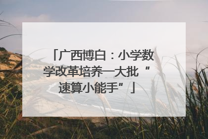 广西博白：小学数学改革培养一大批“速算小能手”