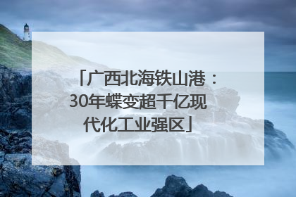广西北海铁山港：30年蝶变超千亿现代化工业强区
