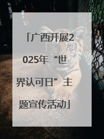 广西开展2025年“世界认可日”主题宣传活动