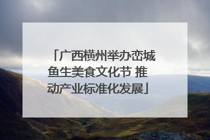 广西横州举办峦城鱼生美食文化节 推动产业标准化发展