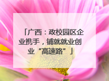 广西：政校园区企业携手，铺就就业创业“高速路”