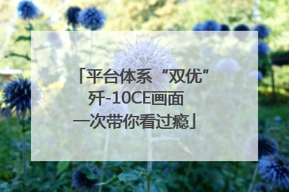 平台体系“双优” 歼-10CE画面一次带你看过瘾