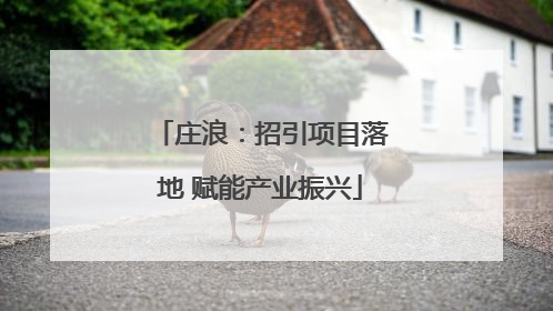 庄浪：招引项目落地 赋能产业振兴