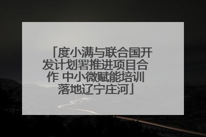 度小满与联合国开发计划署推进项目合作 中小微赋能培训落地辽宁庄河