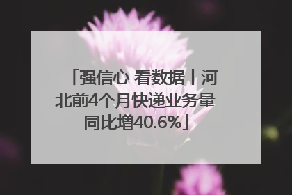 强信心 看数据丨河北前4个月快递业务量同比增40.6%