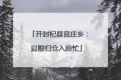 开封杞县官庄乡：夏粮归仓入廪忙