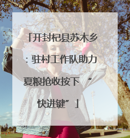 开封杞县苏木乡：驻村工作队助力夏粮抢收按下 “快进键”