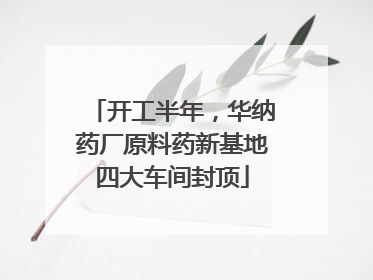 开工半年，华纳药厂原料药新基地四大车间封顶