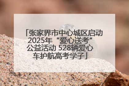 张家界市中心城区启动2025年“爱心送考”公益活动 528辆爱心车护航高考学子