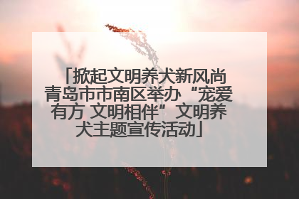 掀起文明养犬新风尚 青岛市市南区举办“宠爱有方 文明相伴”文明养犬主题宣传活动
