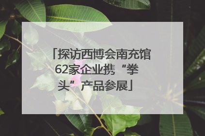 探访西博会南充馆 62家企业携“拳头”产品参展
