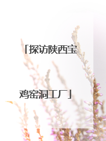 探访陕西宝鸡窑洞工厂