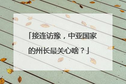 接连访豫，中亚国家的州长最关心啥？