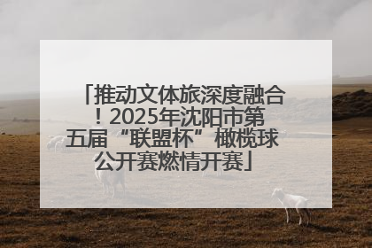 推动文体旅深度融合！2025年沈阳市第五届“联盟杯”橄榄球公开赛燃情开赛