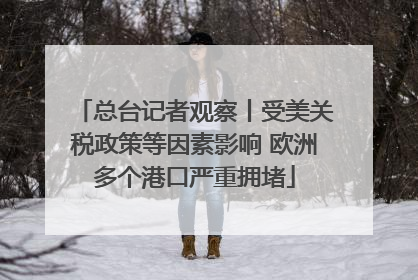 总台记者观察丨受美关税政策等因素影响 欧洲多个港口严重拥堵