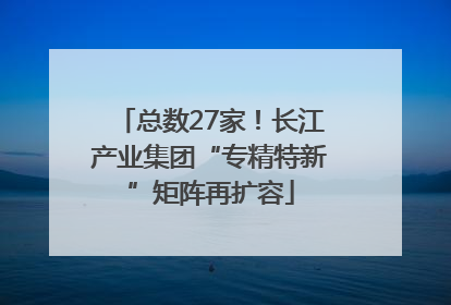 总数27家！长江产业集团“专精特新”矩阵再扩容