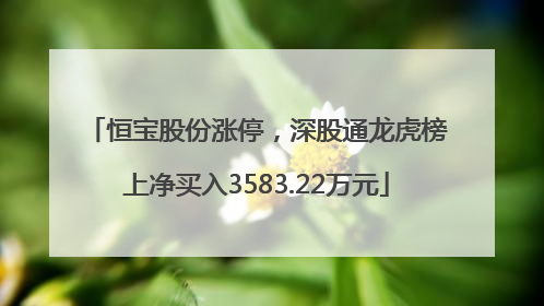 恒宝股份涨停，深股通龙虎榜上净买入3583.22万元